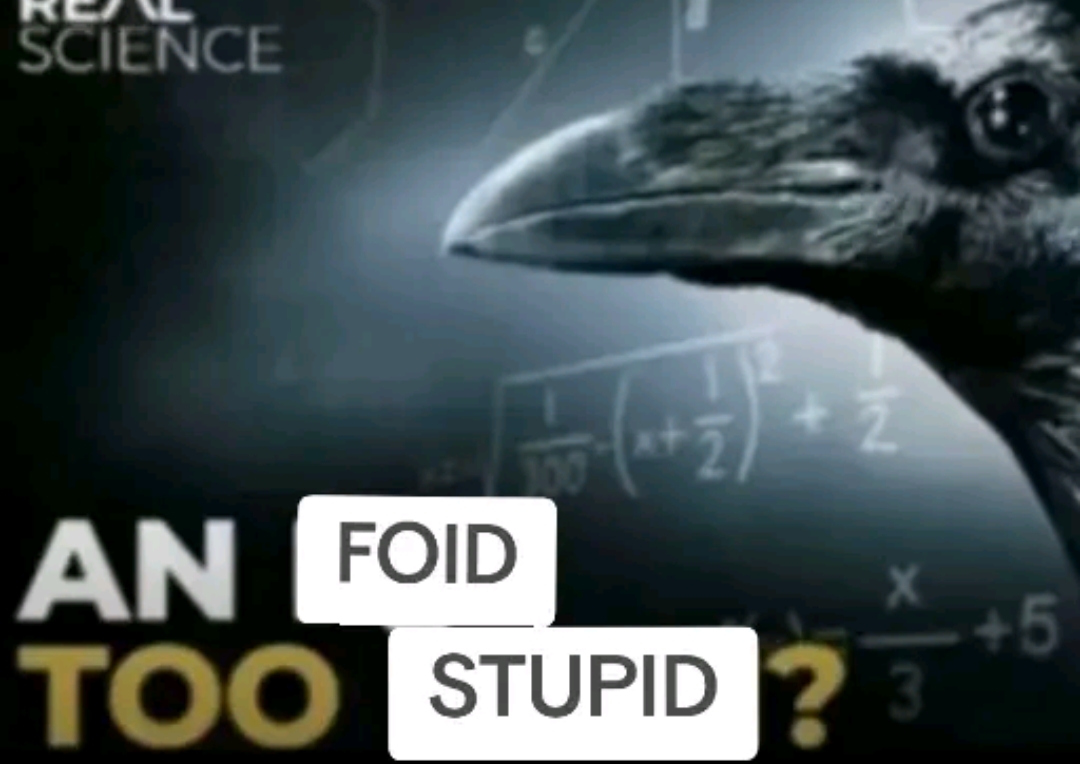 6876