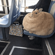 348390