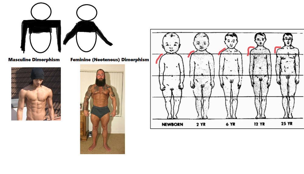 Framepill