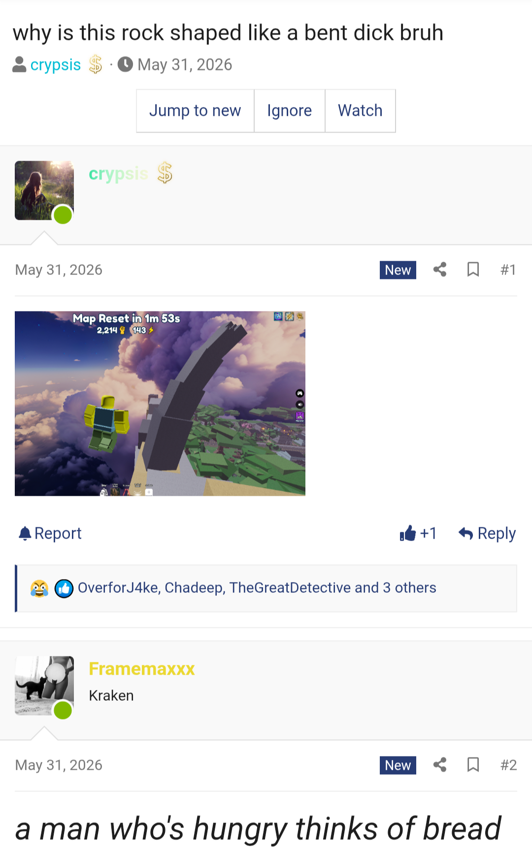 1000017735