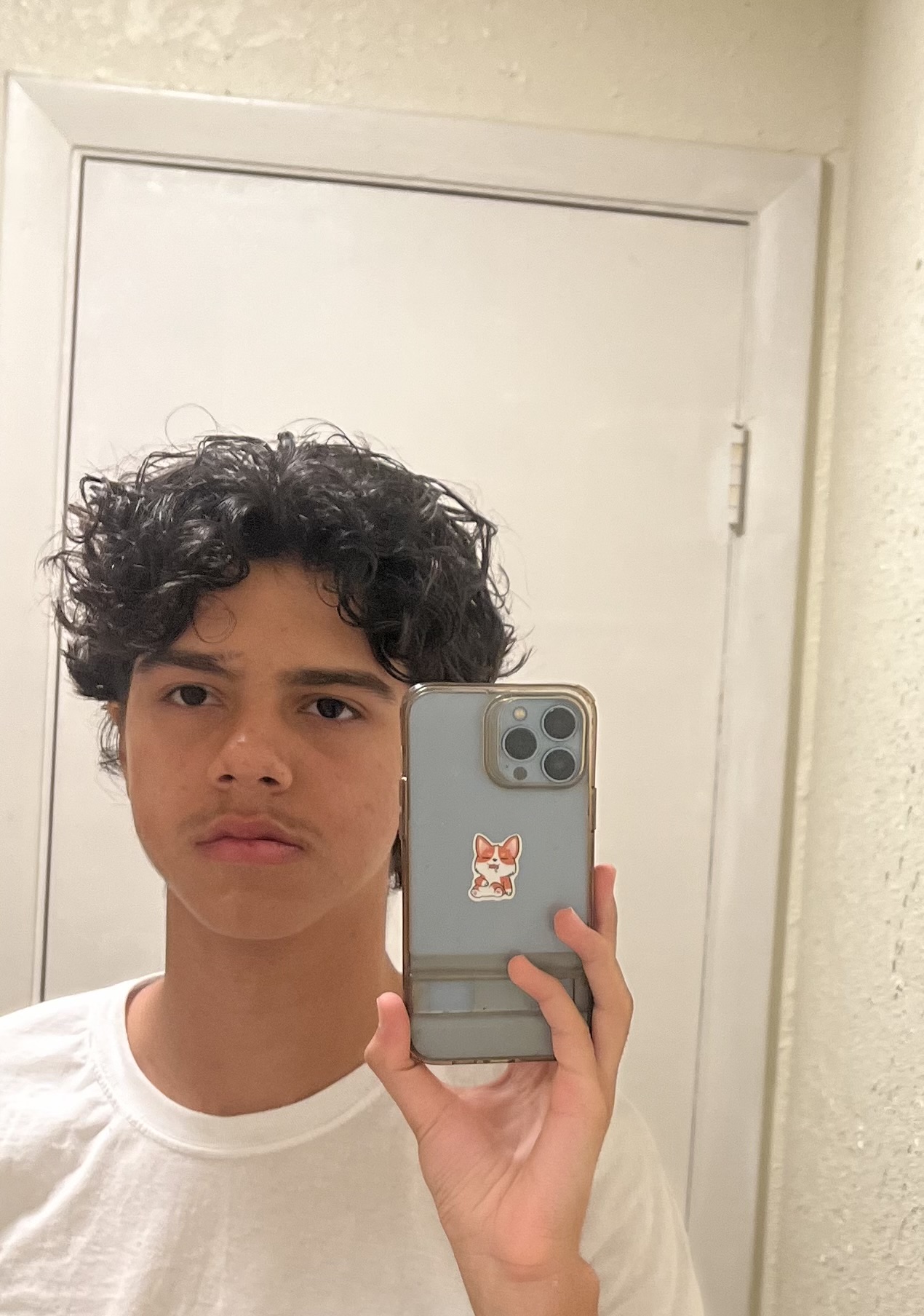 IMG 0814