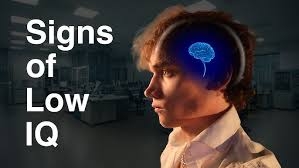 1781770464033