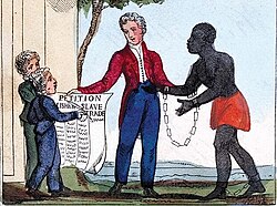 291116