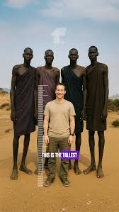 1781803270986