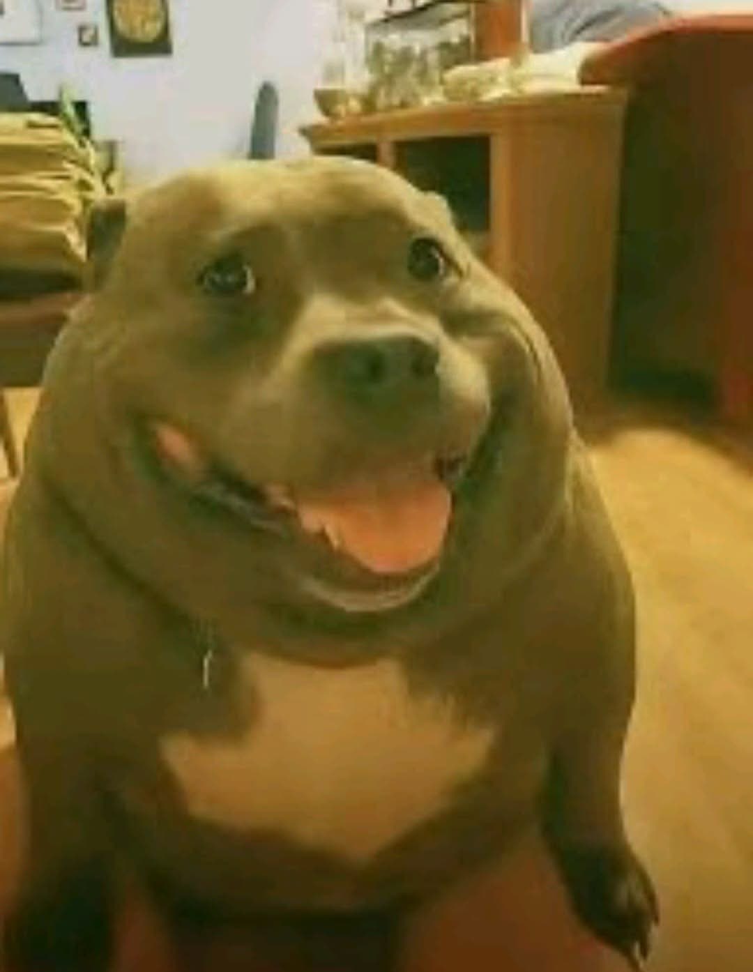 1740