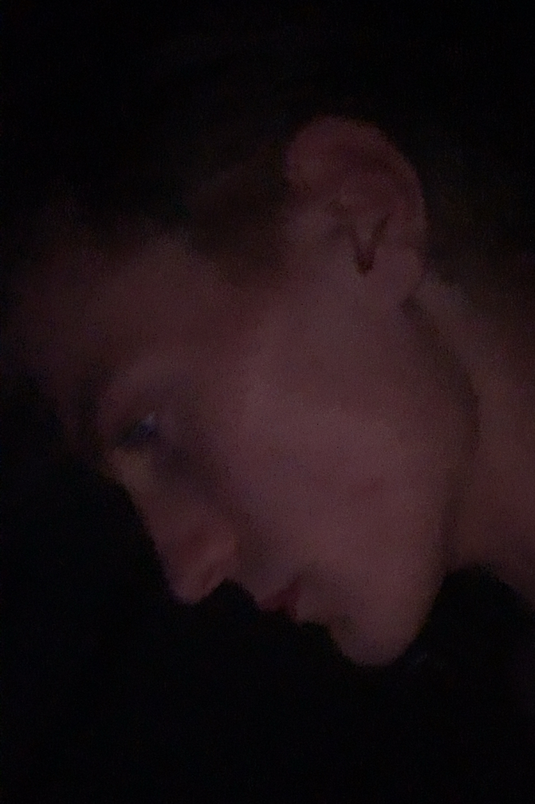 IMG 0300