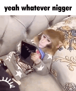919409C2 E8F0 4420 A2FF 74EED0C8FD27