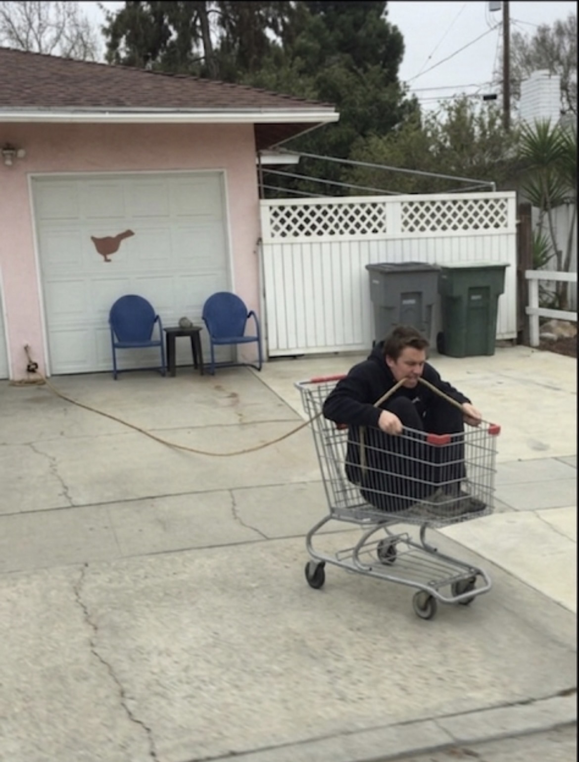 IMG 0248