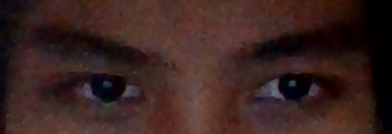1781857683508