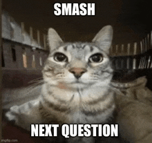 1781863215647