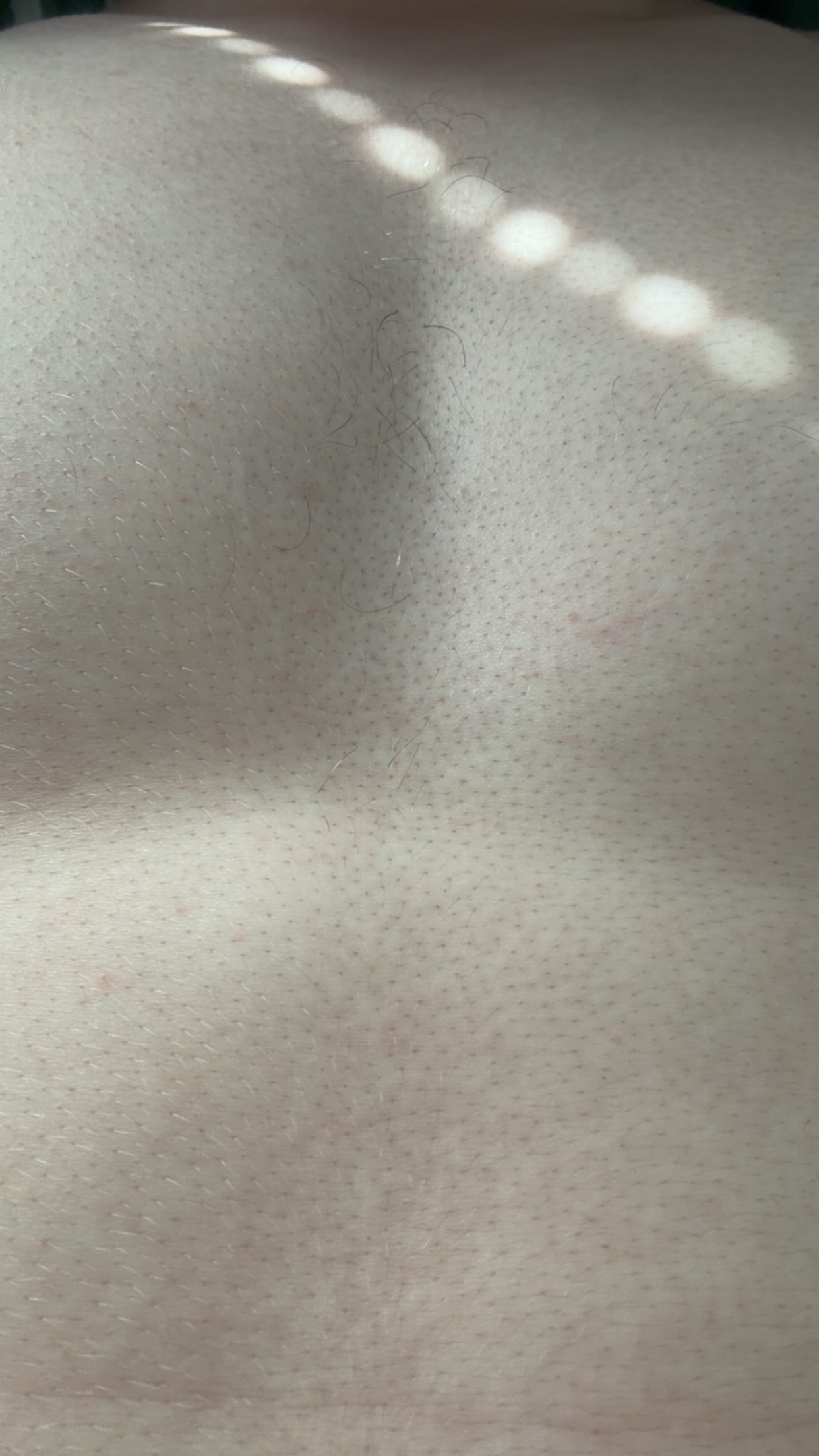 IMG 0050