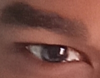 1000056008