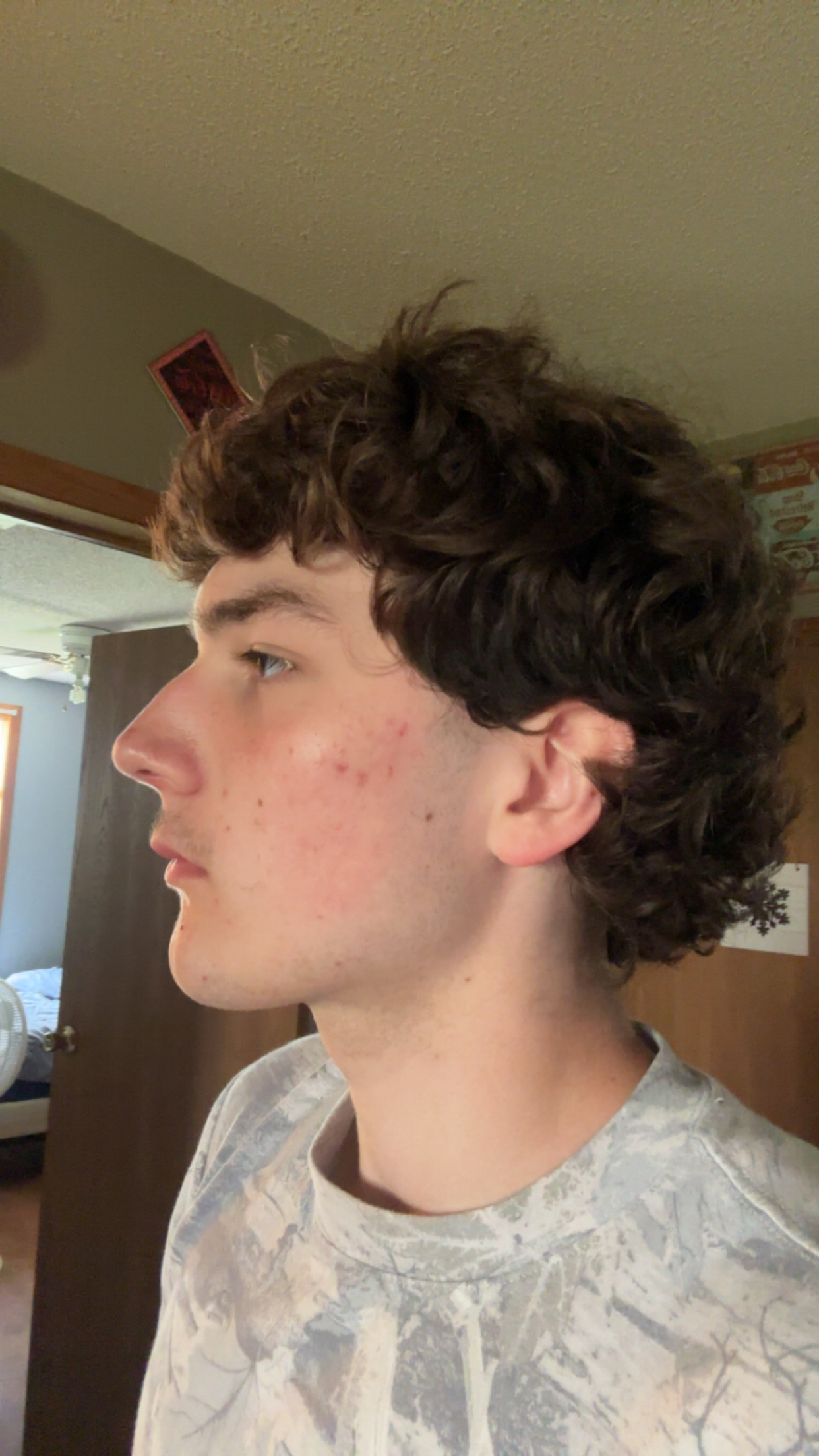 IMG 0731