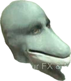 1781911236101