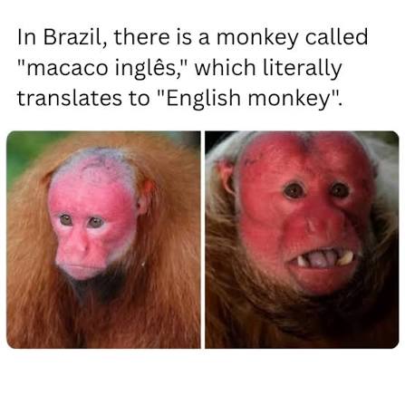 1781913064779