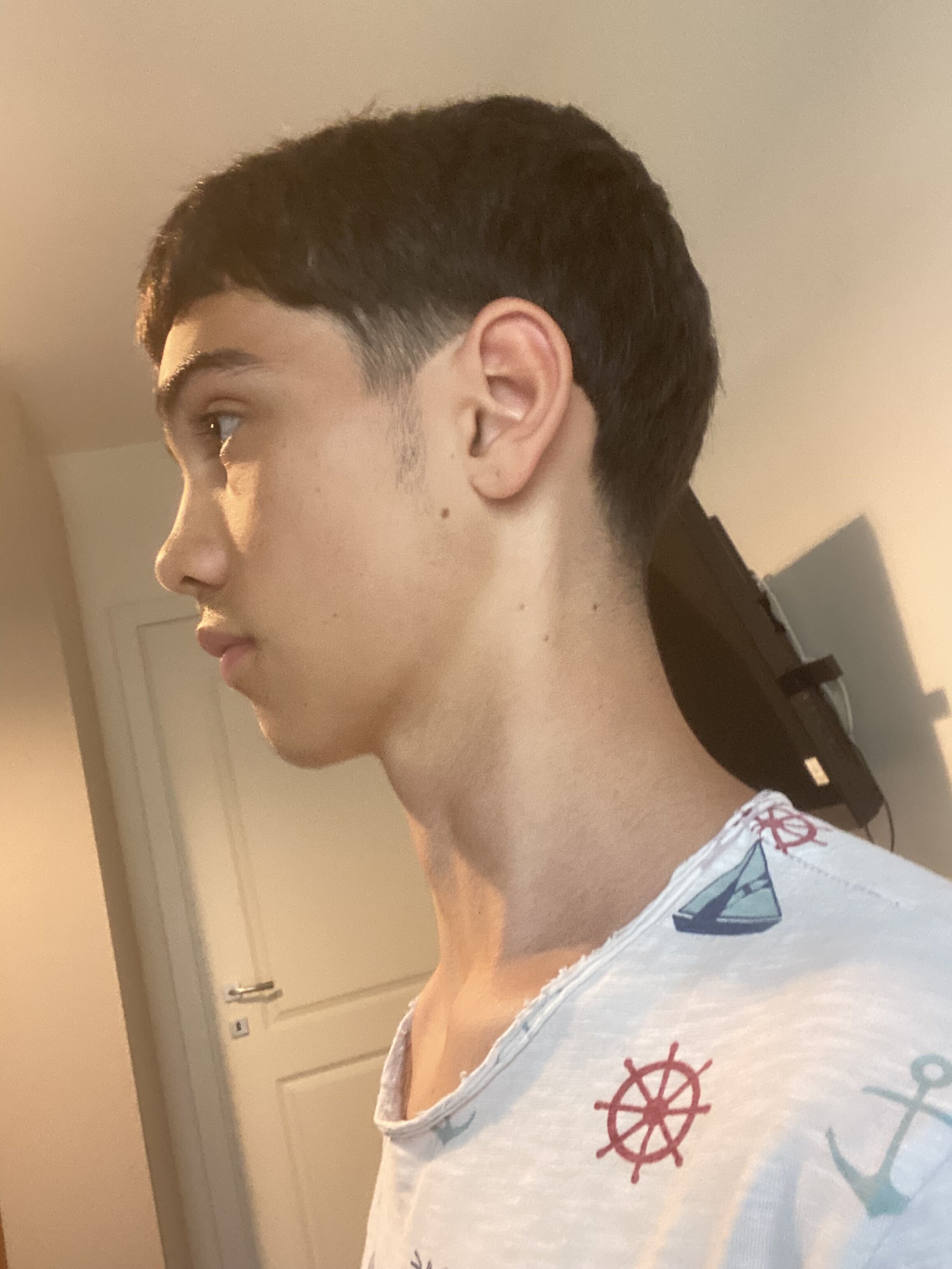 IMG 0293