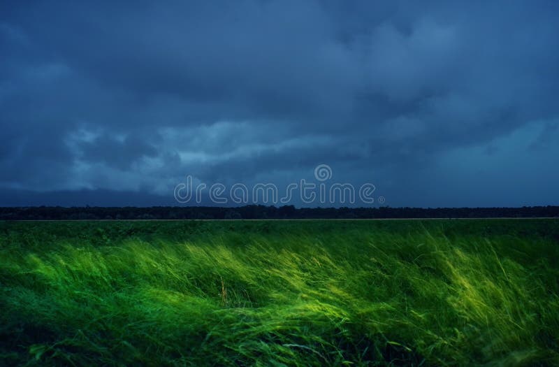 Green wheat field stormy rainy dark clouds over western plain romania grain arad 152156352