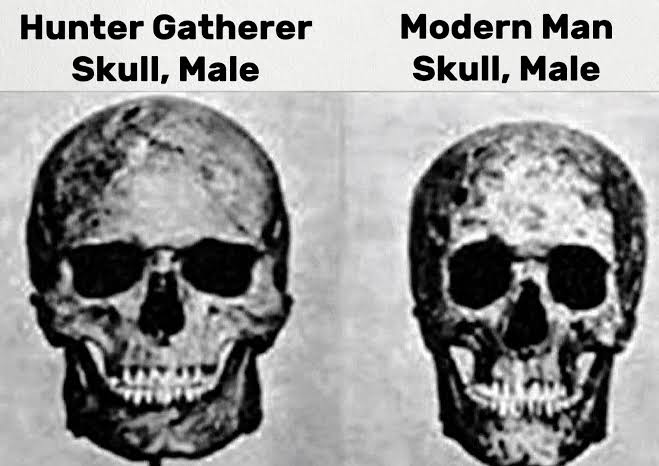 1781978257280