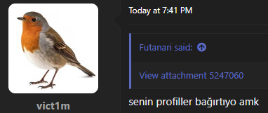 1781985896040