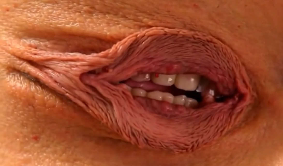 6468173 IMG 3327