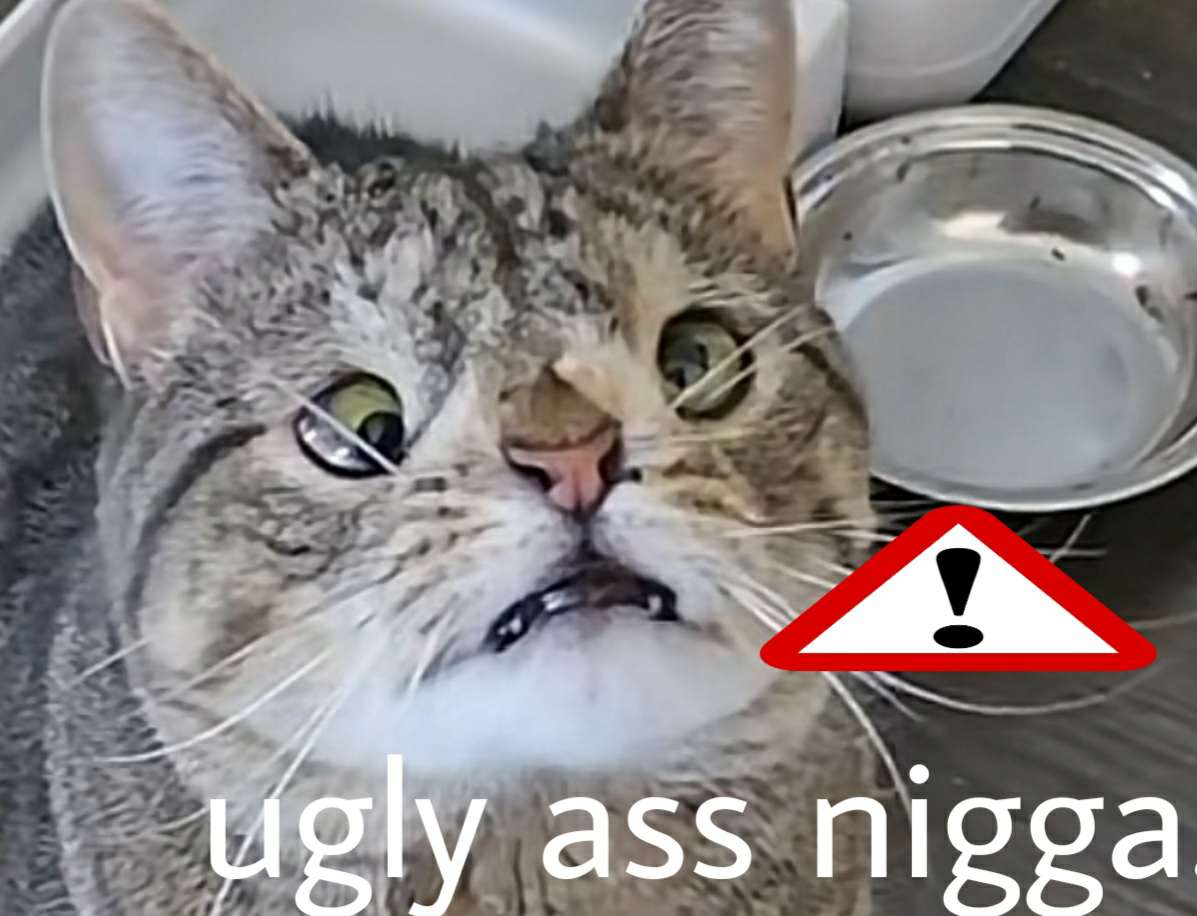 20221205 070158