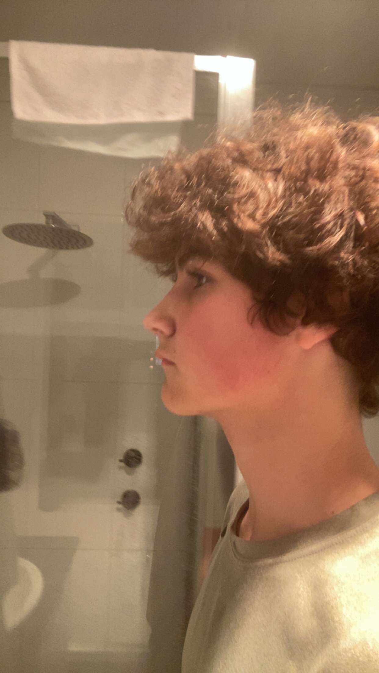 IMG 2650
