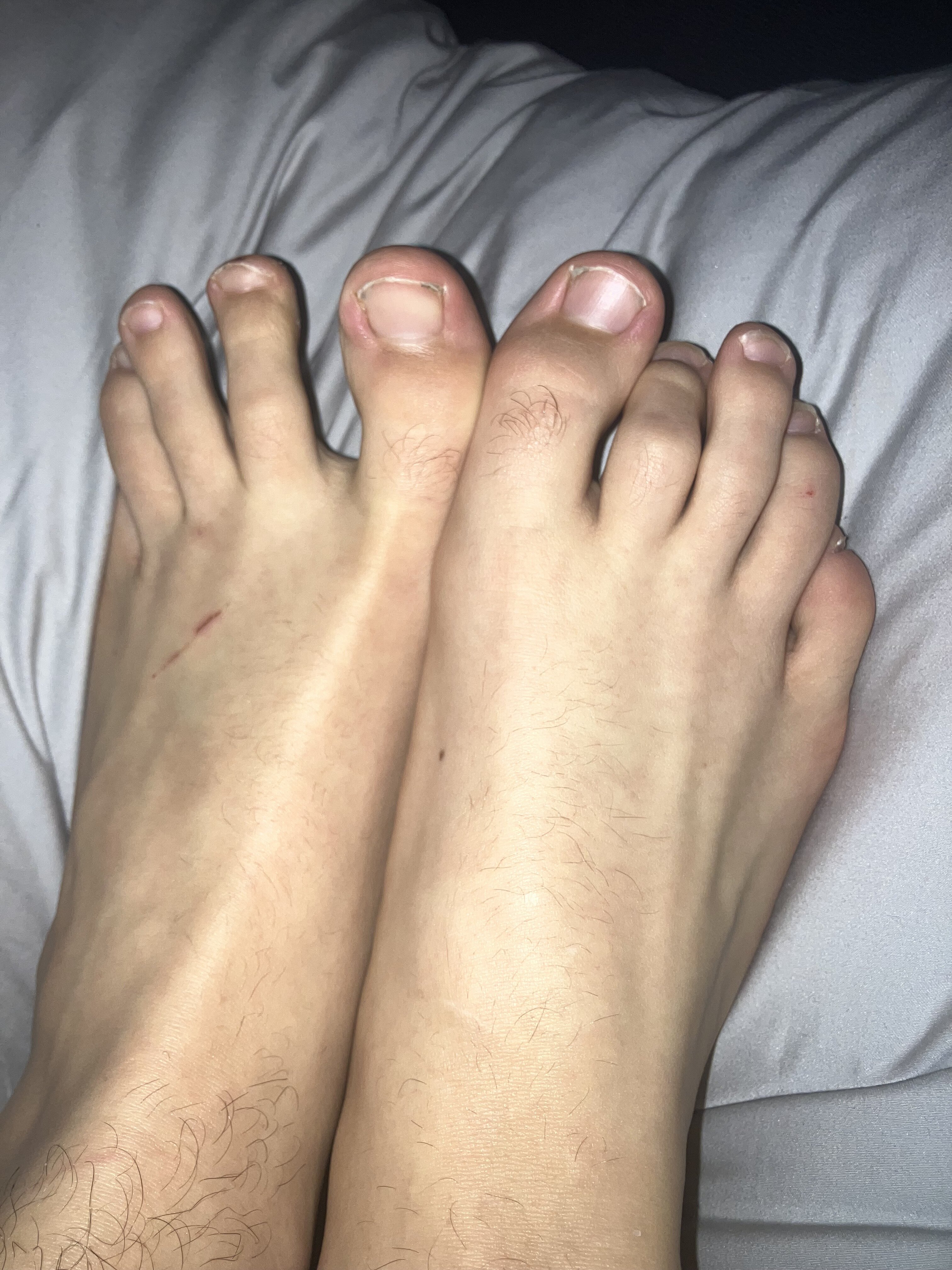 IMG 3667