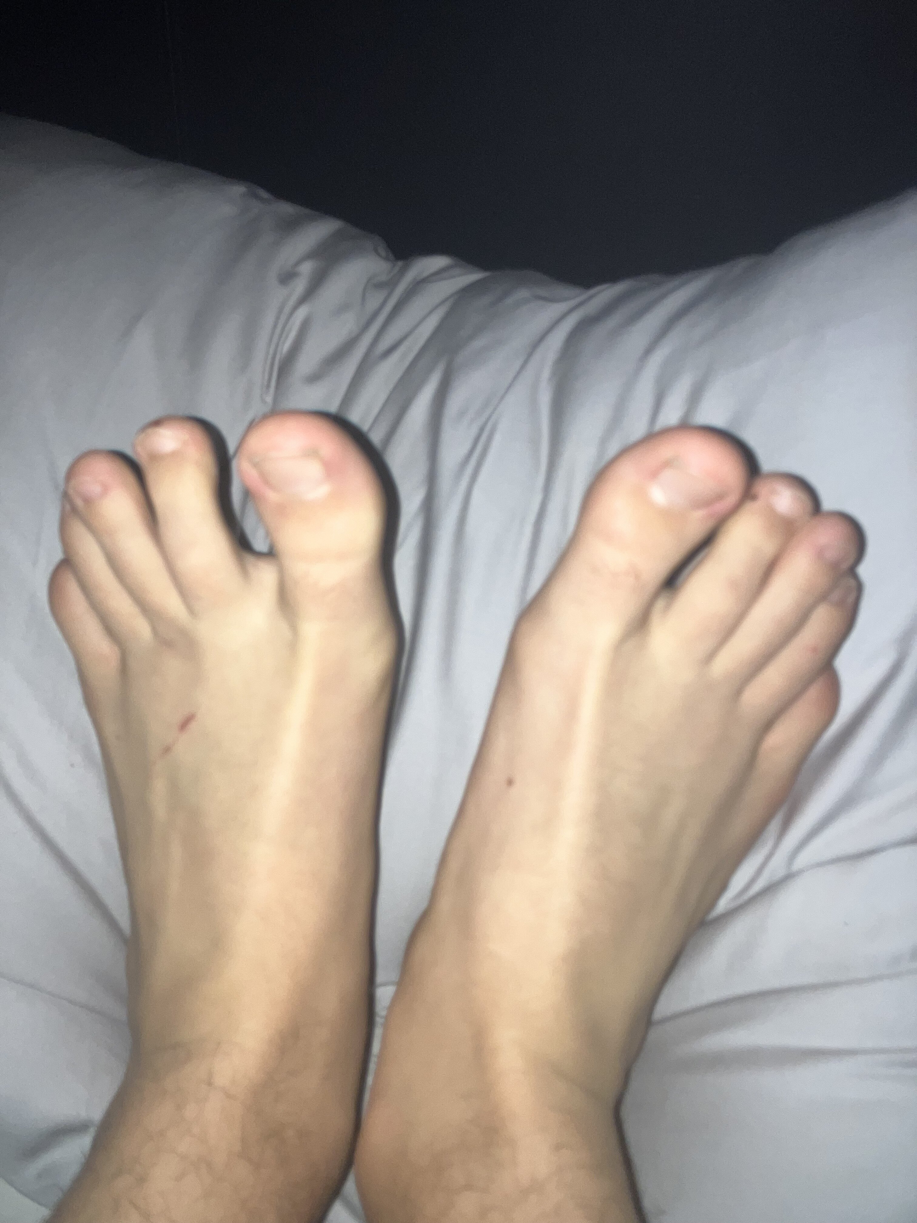 IMG 3668