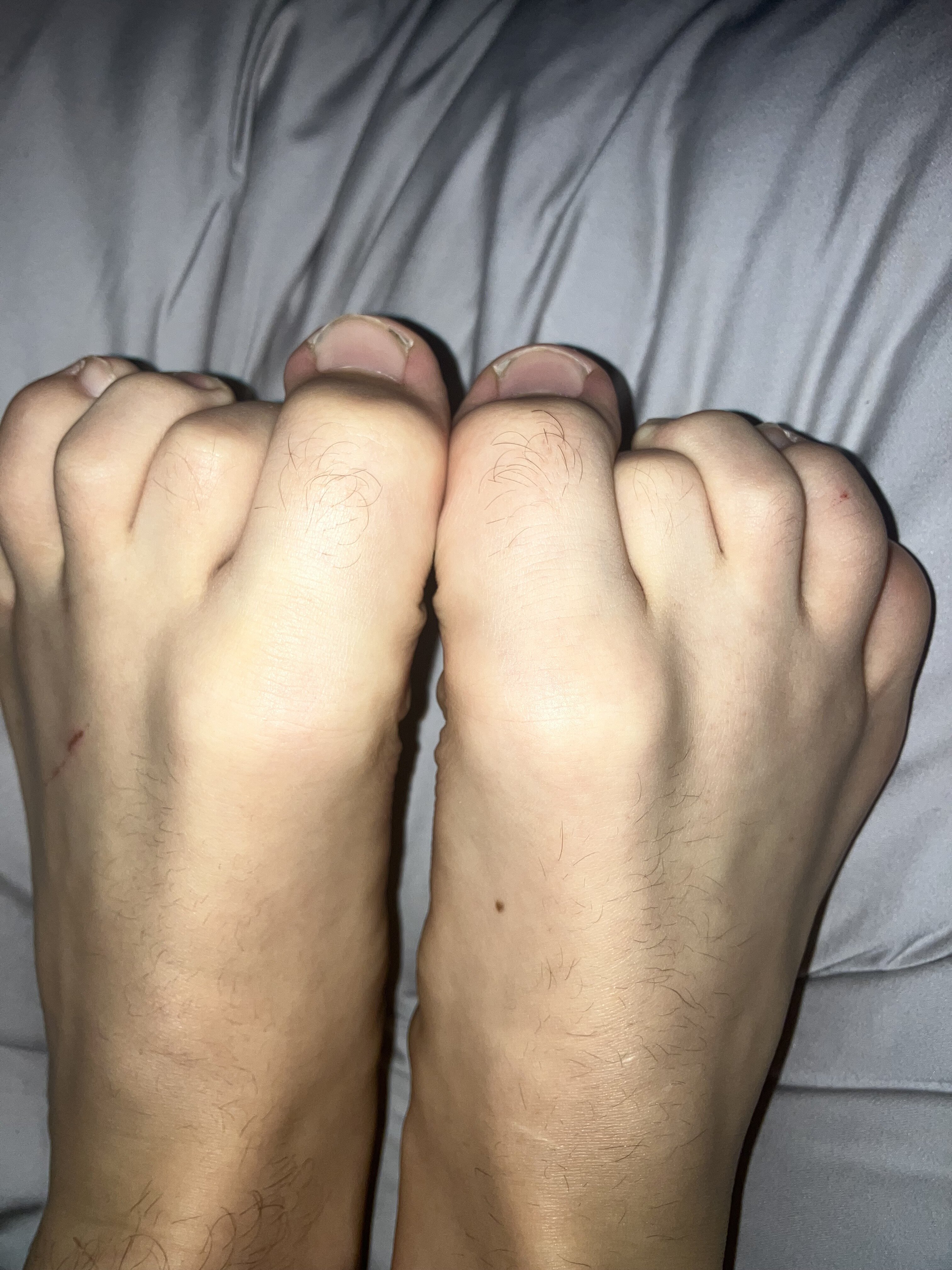 IMG 3669