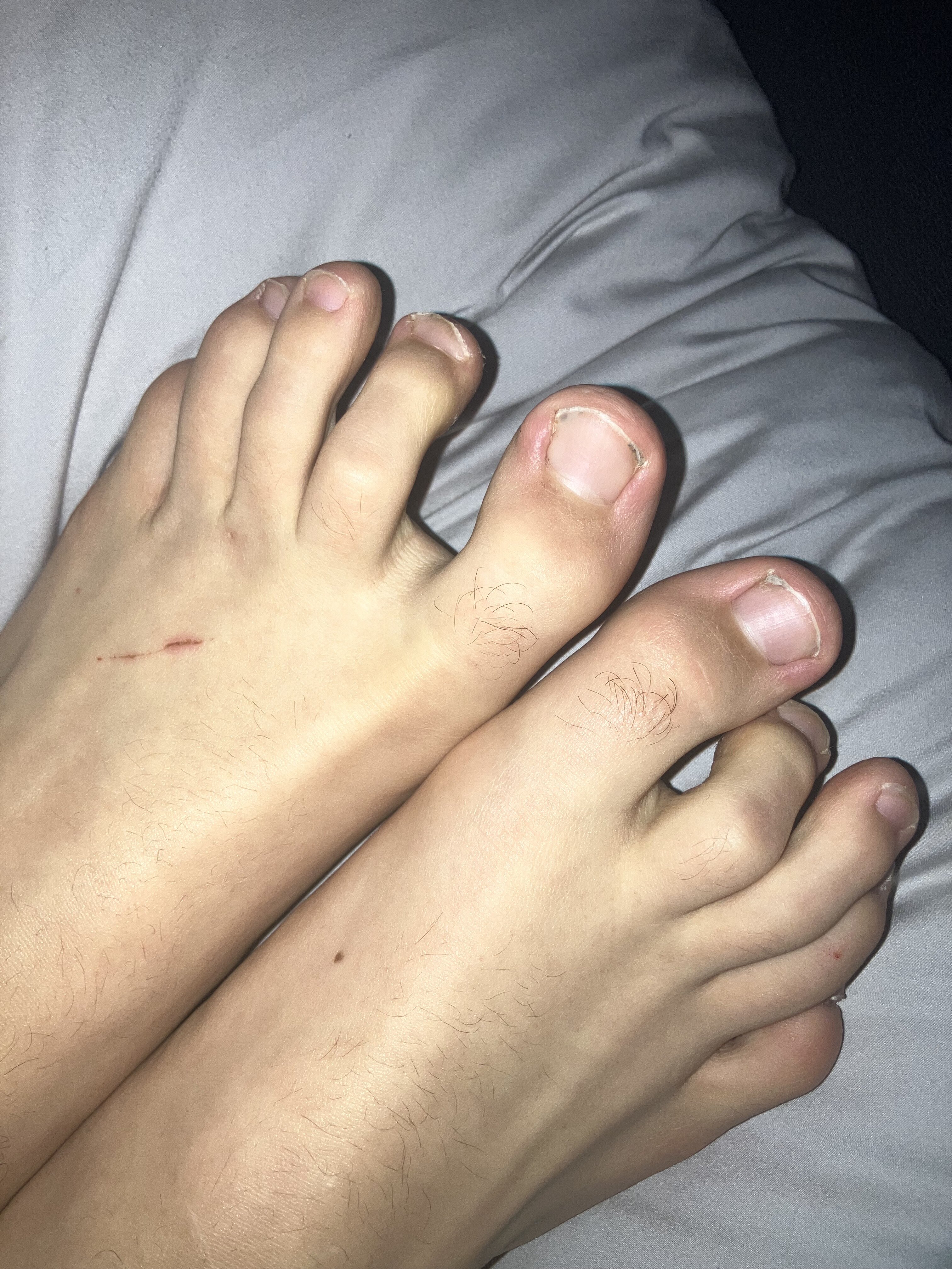 IMG 3670