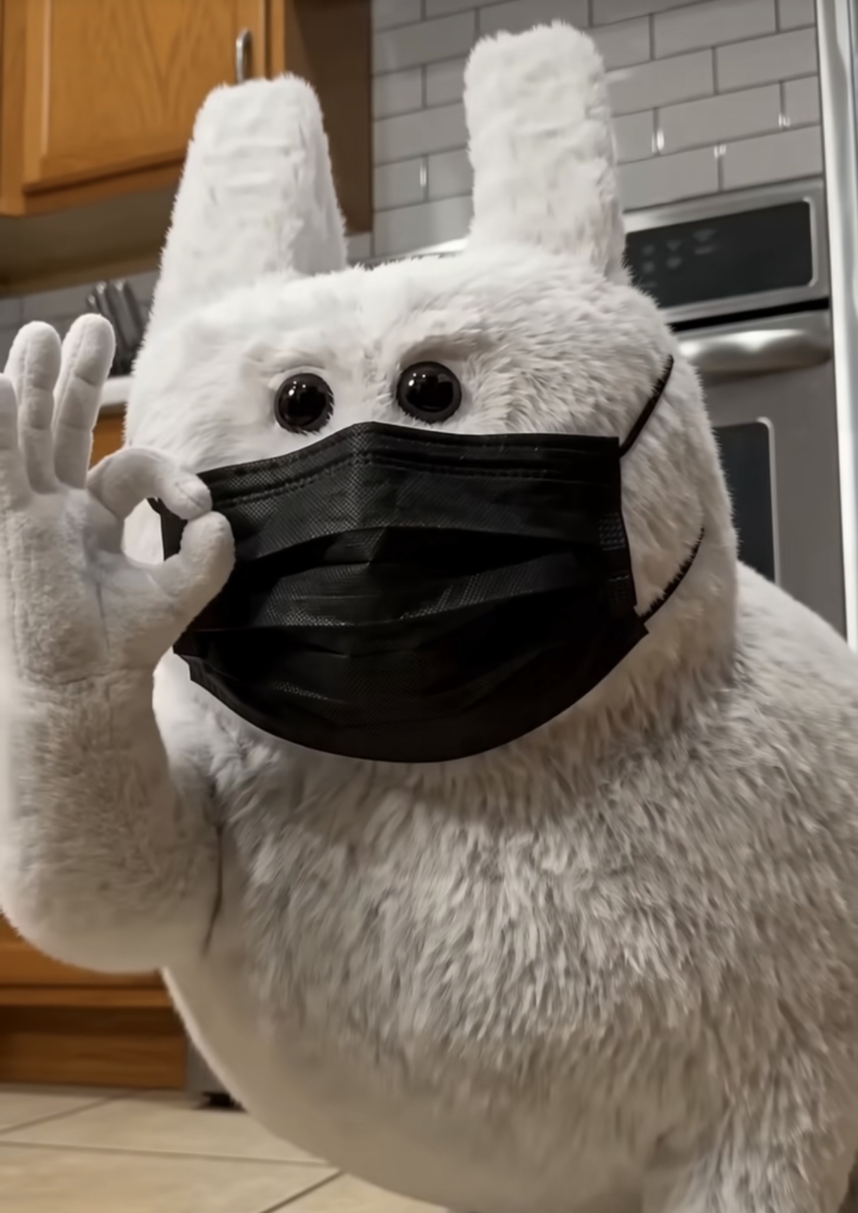51168