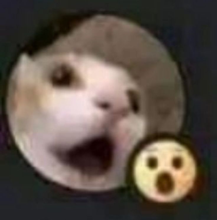1000006882