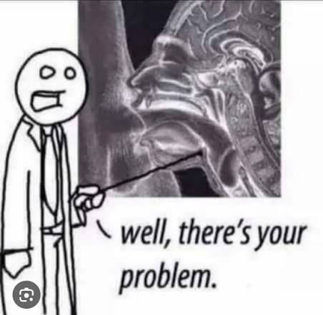 5339