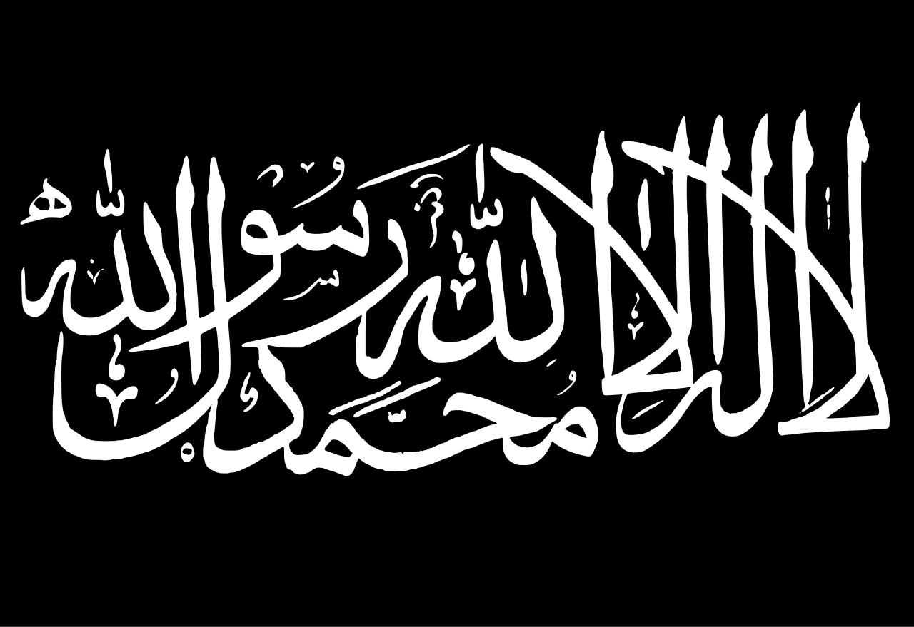 IMG 3496