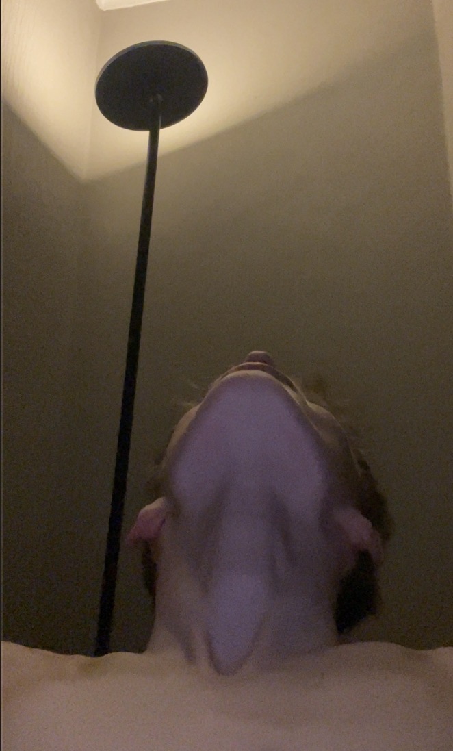 IMG 0565