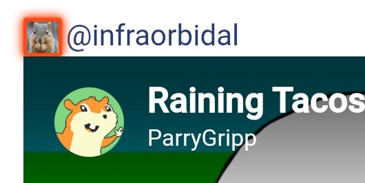 1000021585