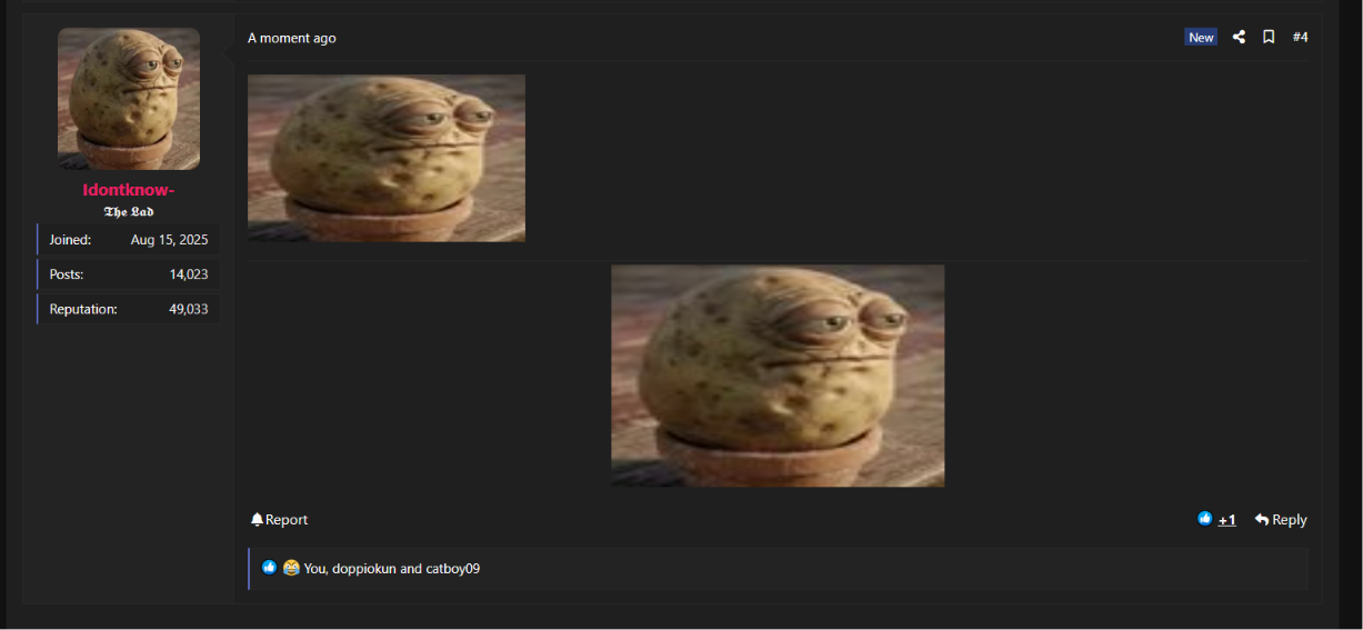 1782150641844