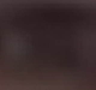 1000078860