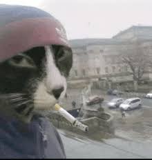 22350