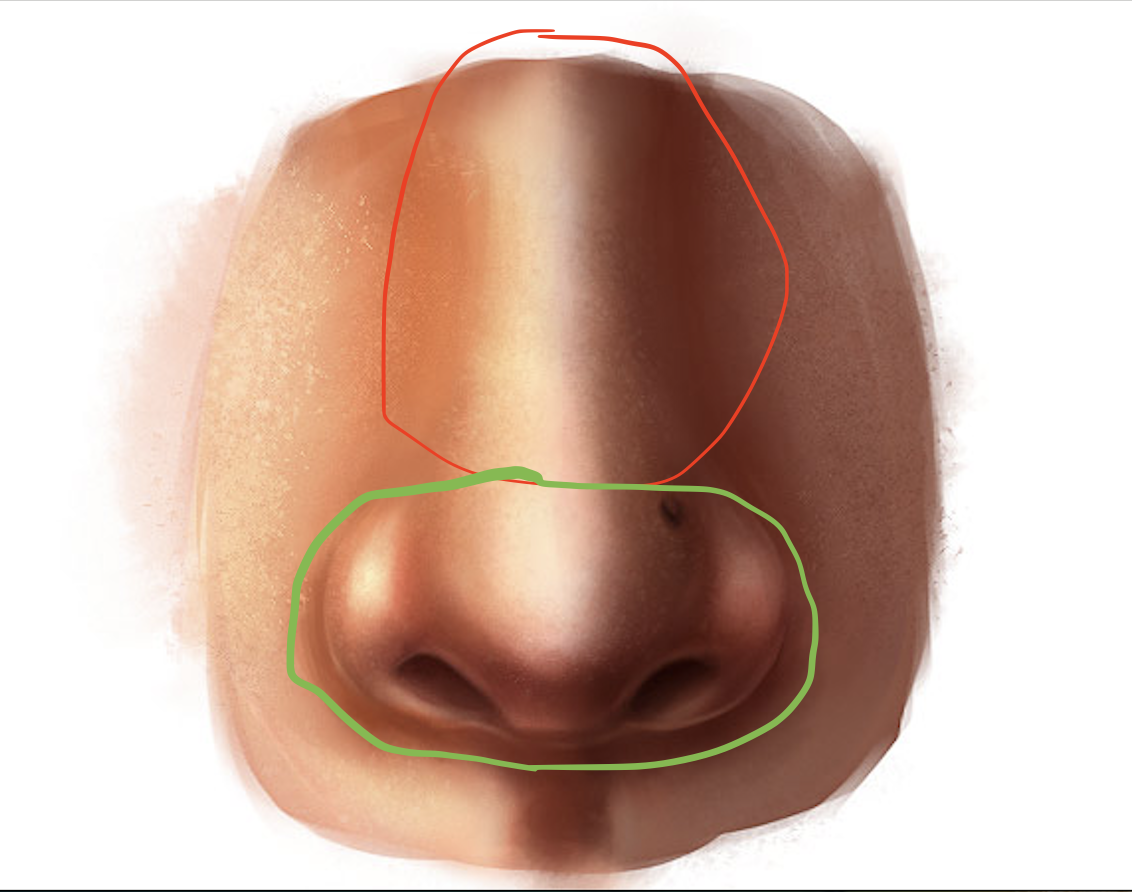 Nose