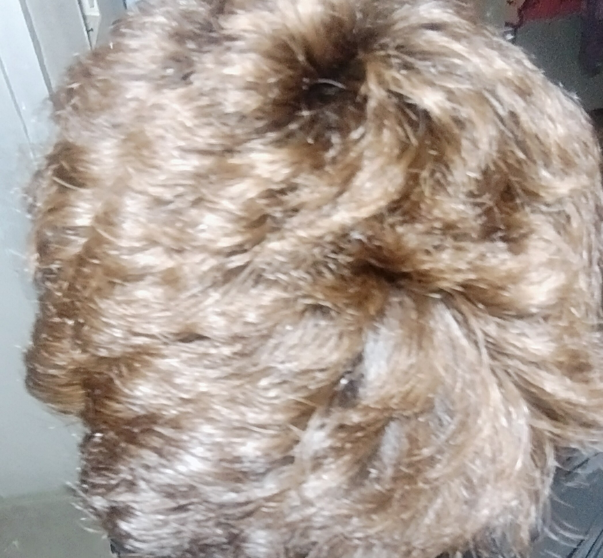IMG 20260606 230010