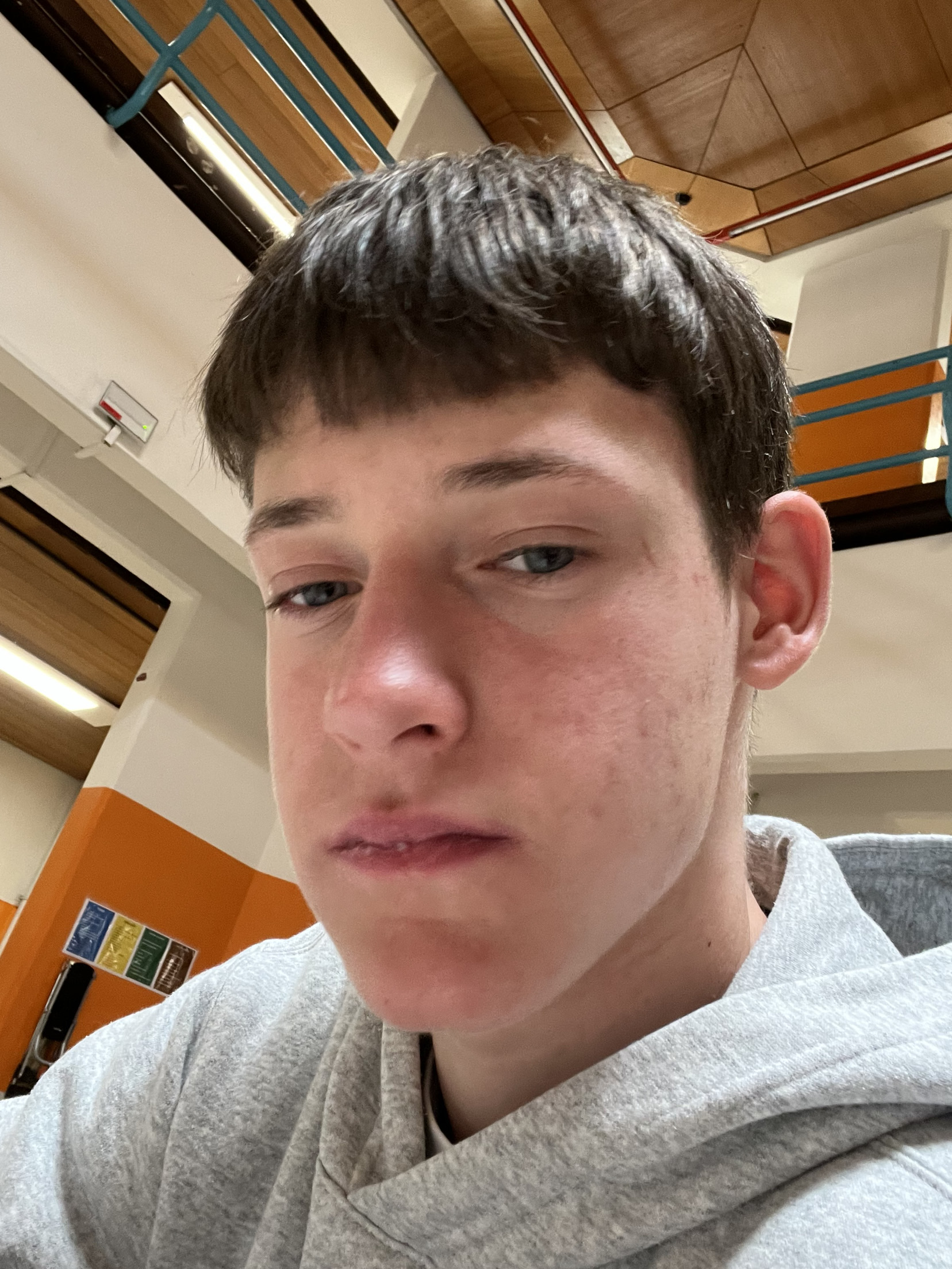 IMG 2398