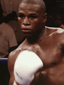Floyd mayweather GIF