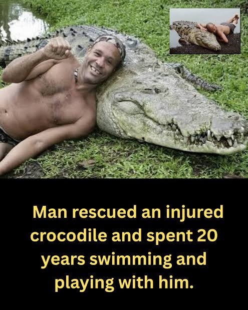 1000208274