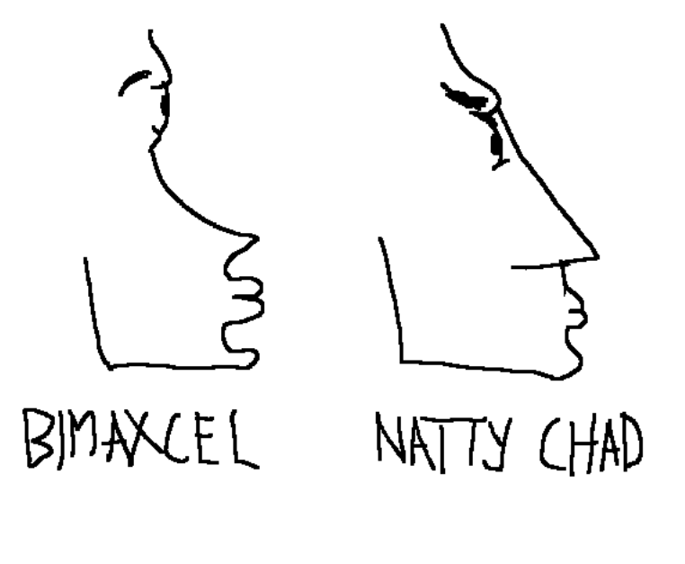 Bimaxcel