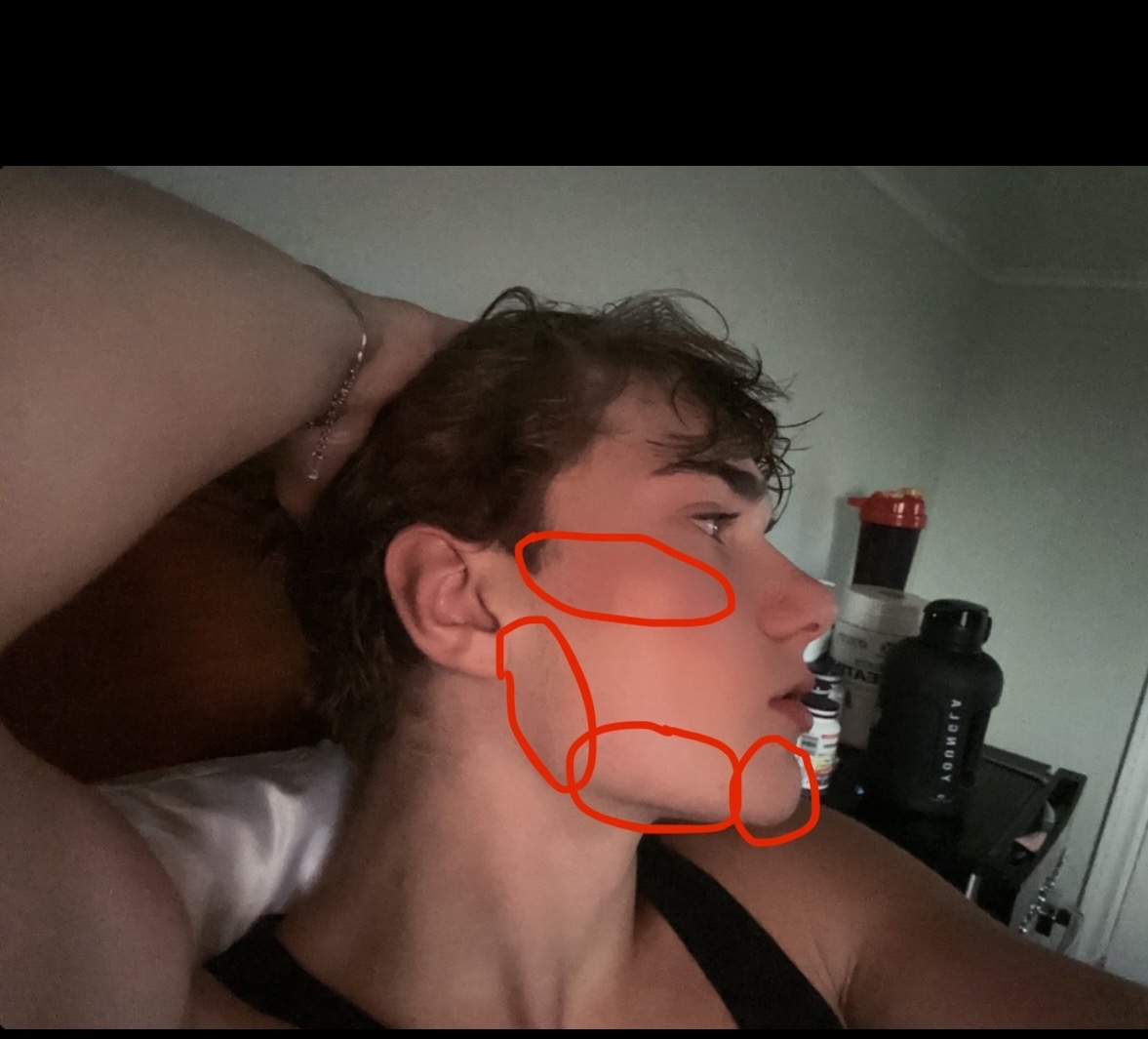IMG 2613