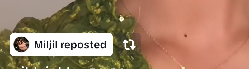 Screenshot 20260624 033641 TikTok