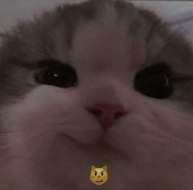 1000006371