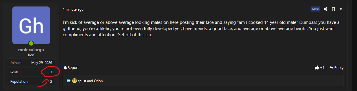 1782307338004