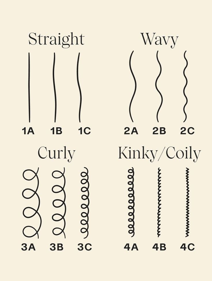 Tipos de pelo